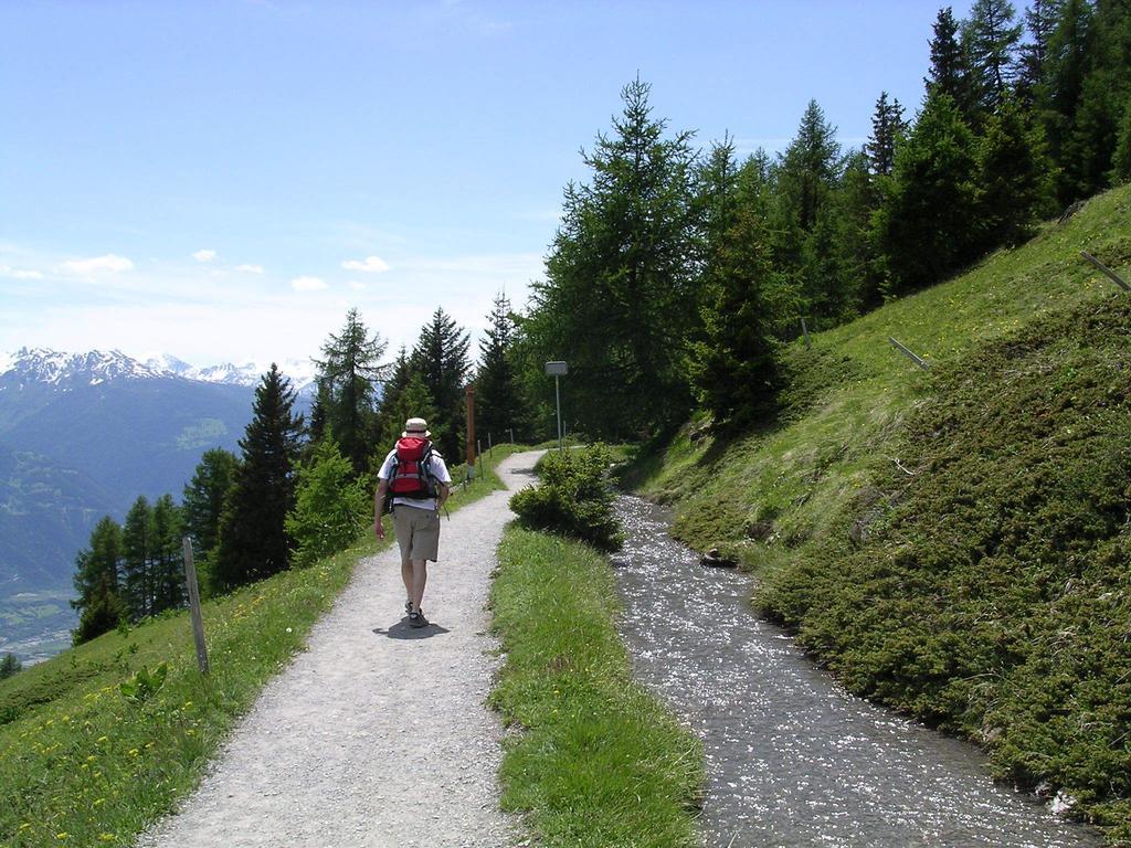 Chalet Des Alpes Bed & Breakfast Crans-Montana Bagian luar foto