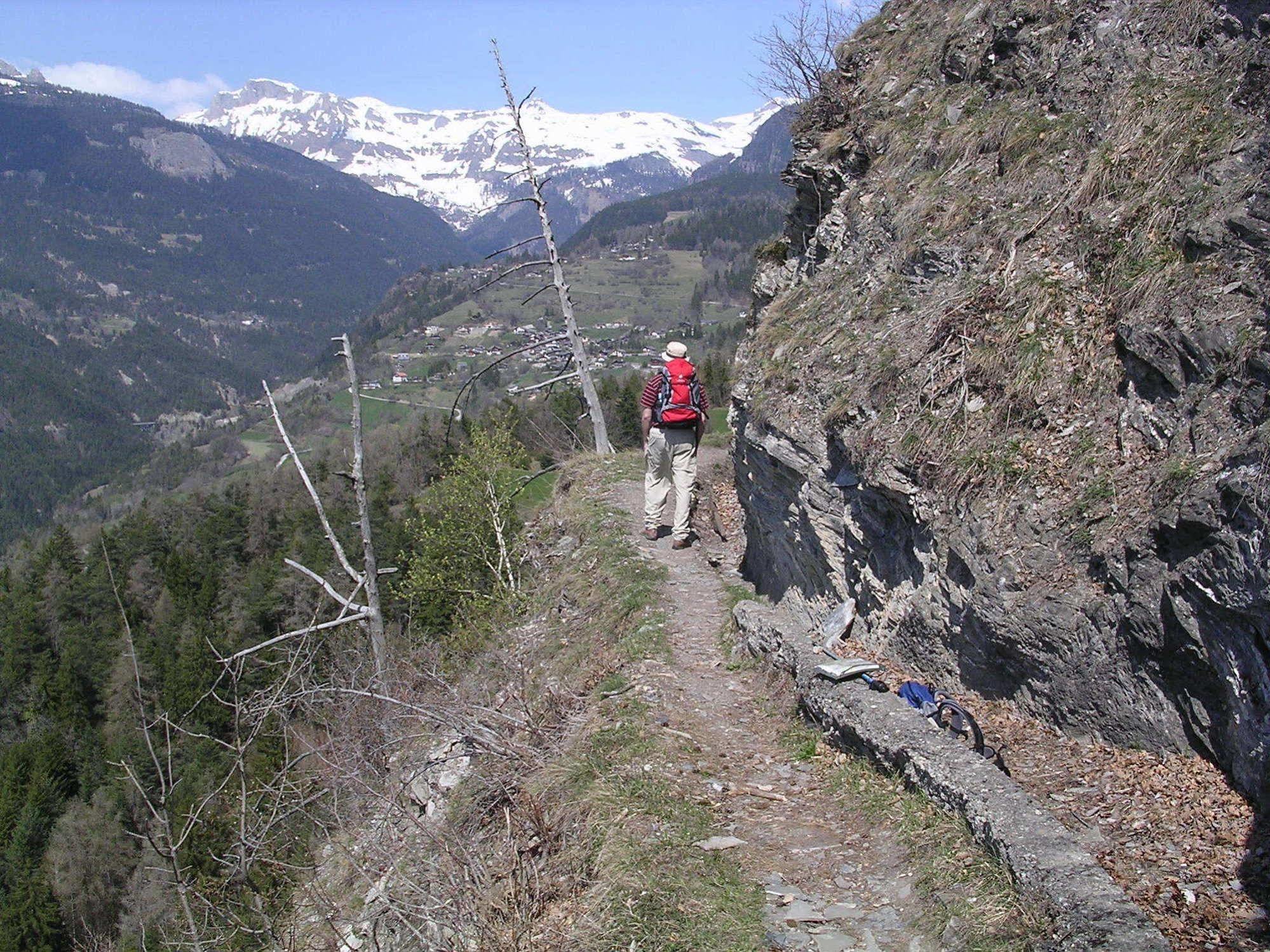 Chalet Des Alpes Bed & Breakfast Crans-Montana Bagian luar foto